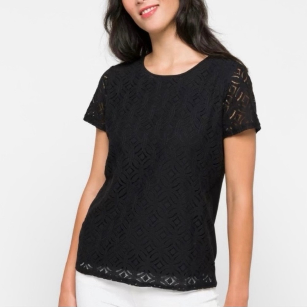 Market & Spruce Hans Crochet Mixed Media Top (L)